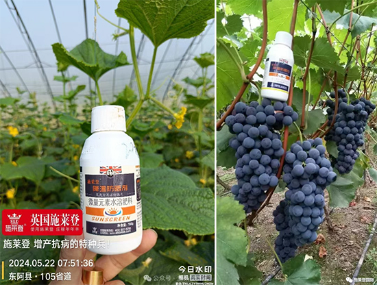 河南施莱登生物技术有限公�?.jpg