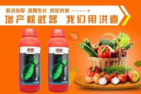 河南艾利农农业科技有限公司3.jpg