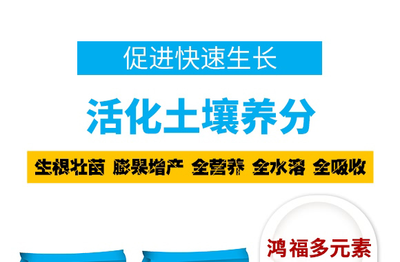 5.png 5.png