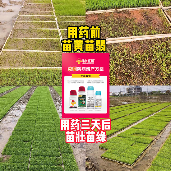 未标�?1.jpg