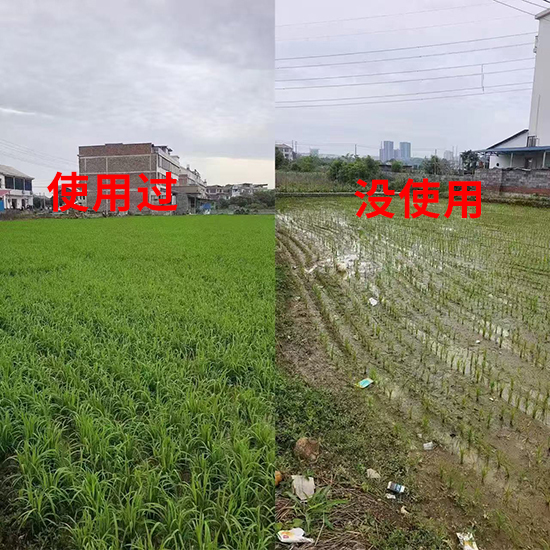 未标�?1.jpg