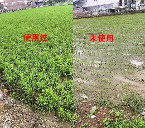 未标�?1.jpg