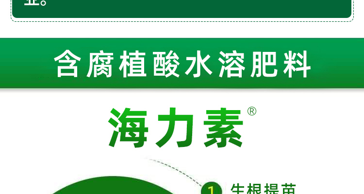 山东百利来生物技术有限公司_02_03.jpg