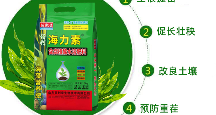山东百利来生物技术有限公司_02_04.jpg