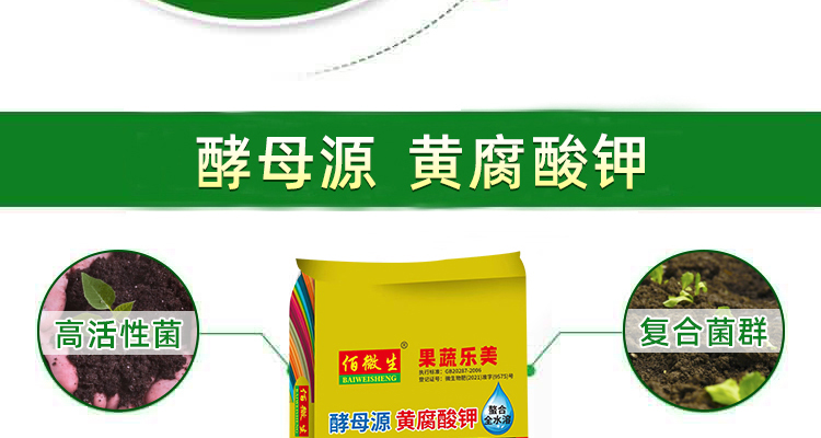 山东百利来生物技术有限公司_02_05.jpg