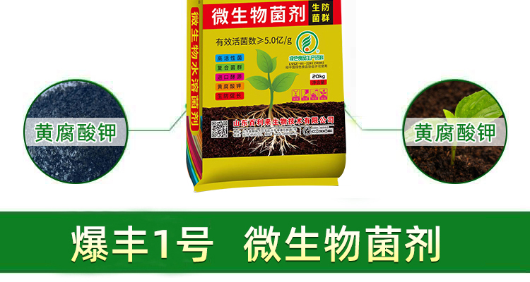 山东百利来生物技术有限公司_02_06.jpg