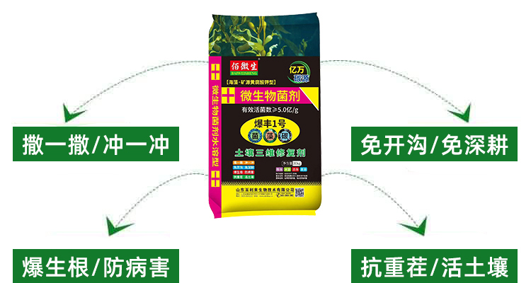 山东百利来生物技术有限公司_02_07.jpg