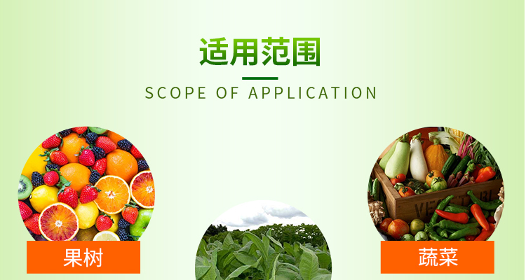 北沃_02_05.jpg