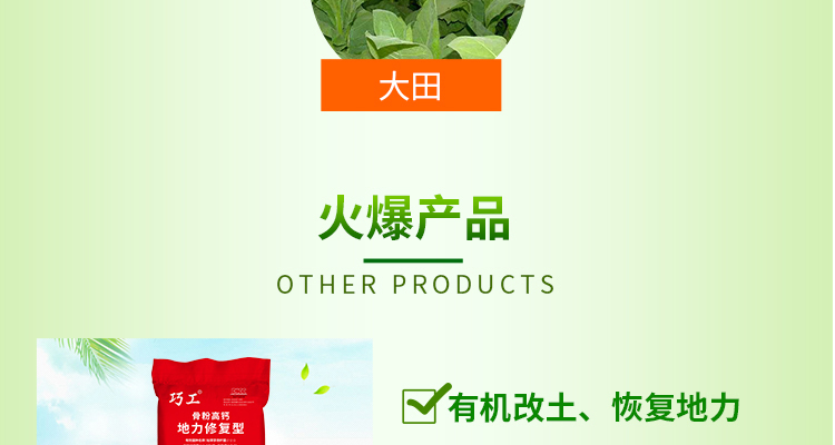 北沃_02_06.jpg