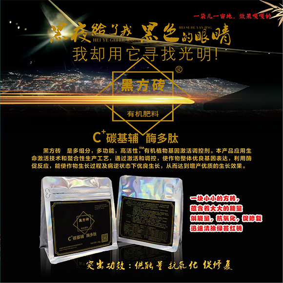 涓扮敯鐢诲唽20250419a_04.jpg 涓扮敯鐢诲唽20250419a_04.jpg