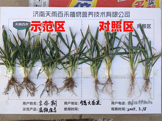 娴庡崡澶╅洦鐧剧妞嶇墿钀ュ吇鎶�鏈湁闄愬叕鍙?.jpg 娴庡崡澶╅洦鐧剧妞嶇墿钀ュ吇鎶�鏈湁闄愬叕鍙?.jpg