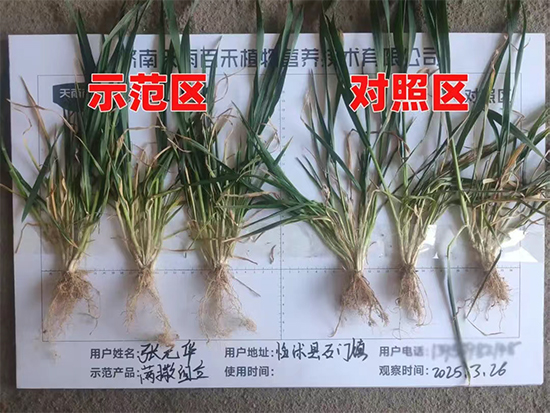 娴庡崡澶╅洦鐧剧妞嶇墿钀ュ吇鎶�鏈湁闄愬叕鍙?.jpg 娴庡崡澶╅洦鐧剧妞嶇墿钀ュ吇鎶�鏈湁闄愬叕鍙?.jpg