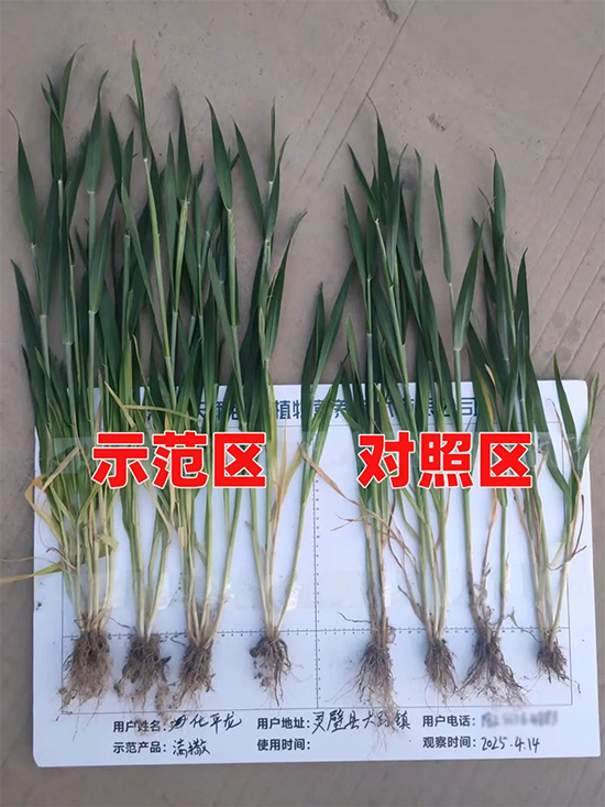 娴庡崡澶╅洦鐧剧妞嶇墿钀ュ吇鎶�鏈湁闄愬叕鍙?.jpg 娴庡崡澶╅洦鐧剧妞嶇墿钀ュ吇鎶�鏈湁闄愬叕鍙?.jpg