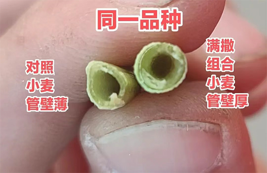 娴庡崡澶╅洦鐧剧妞嶇墿钀ュ吇鎶�鏈湁闄愬叕鍙?.jpg 娴庡崡澶╅洦鐧剧妞嶇墿钀ュ吇鎶�鏈湁闄愬叕鍙?.jpg