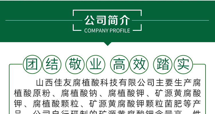 佳友--电子画册_02_01.jpg