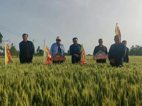 娌冲崡閭﹂偊绉嶄笟鏈夐檺鍏徃6.jpg 娌冲崡閭﹂偊绉嶄笟鏈夐檺鍏徃6.jpg