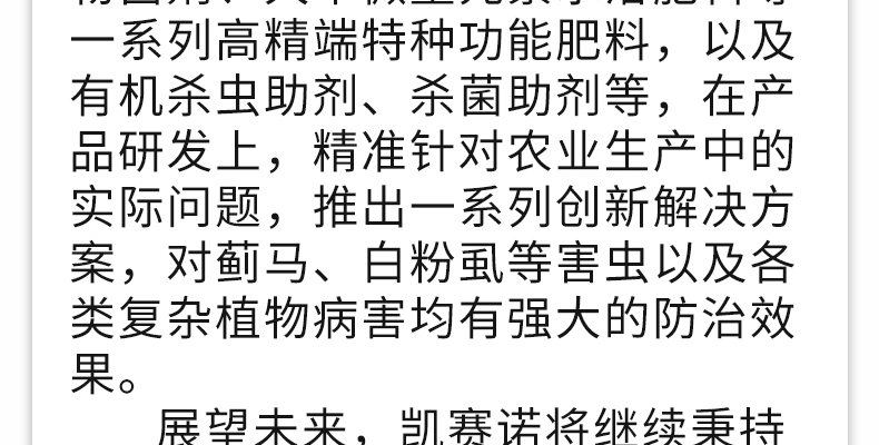 凯赛�?电子画册_02_02.jpg