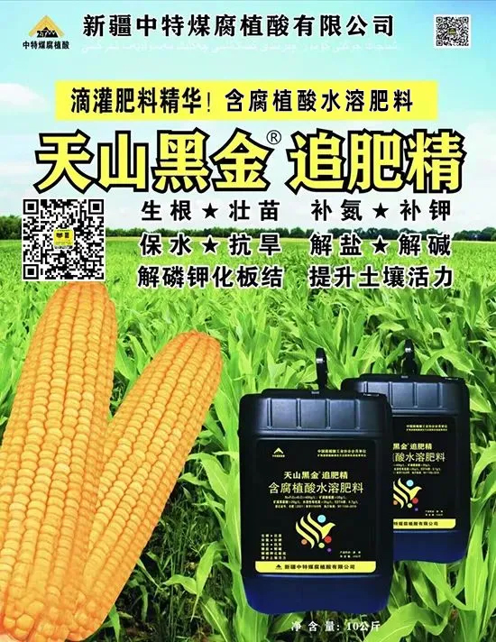鏂扮枂涓壒鐓よ厫妞嶉吀鏈夐檺鍏徃6.jpg 鏂扮枂涓壒鐓よ厫妞嶉吀鏈夐檺鍏徃6.jpg