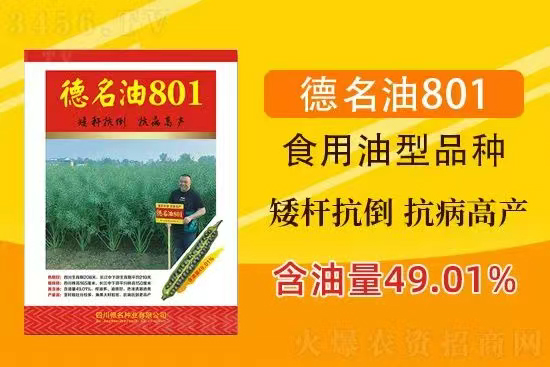鍥涘窛寰峰悕绉嶄笟鏈夐檺鍏徃3.jpg 鍥涘窛寰峰悕绉嶄笟鏈夐檺鍏徃3.jpg