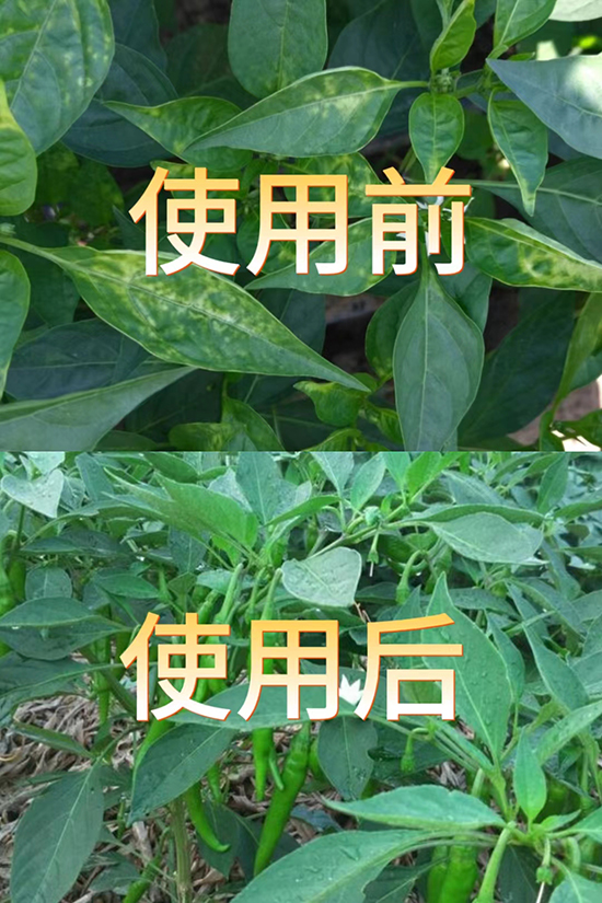 af965ef5068b9892b531b38c88a7293.jpg