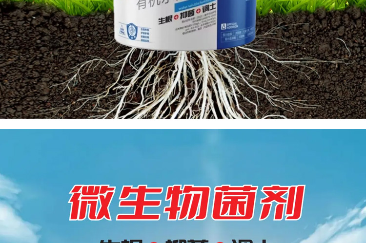 菲碧施（上海）进出口贸易有限公司_09.jpg