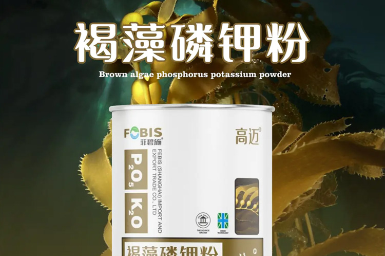 菲碧施（上海）进出口贸易有限公司_12.jpg