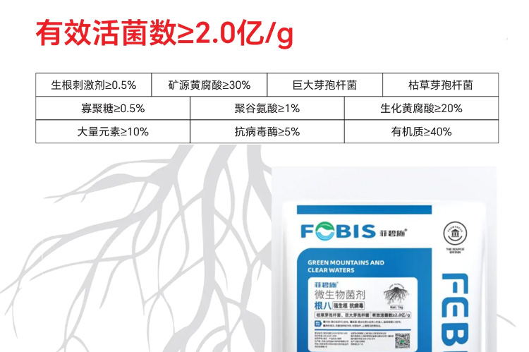 菲碧施（上海）进出口贸易有限公司_19.jpg