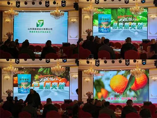 山东英喆进出口有限公�?.jpg