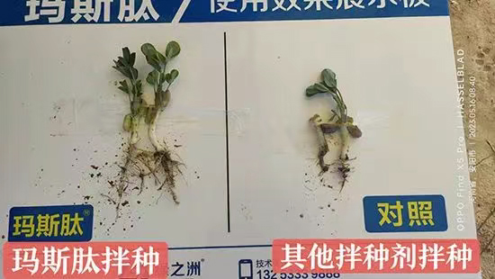 河南波尔森农业科技有限公司3.jpg