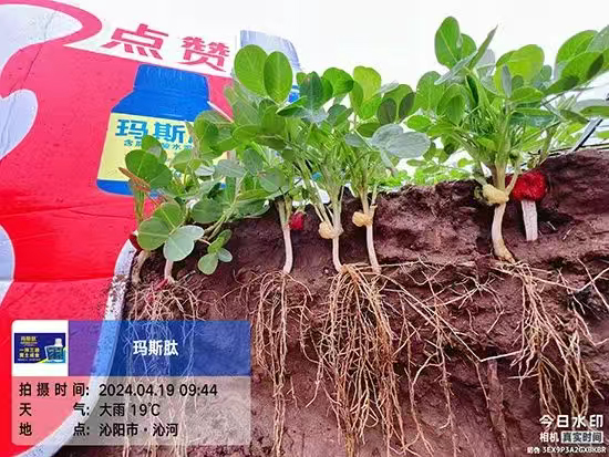 河南波尔森农业科技有限公司2.jpg