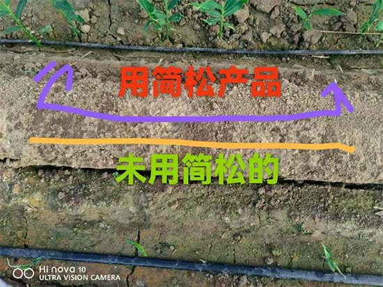 山东诺贝欣农业发展有限公�?.jpg