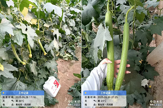 山东诺贝欣农业发展有限公�?.jpg