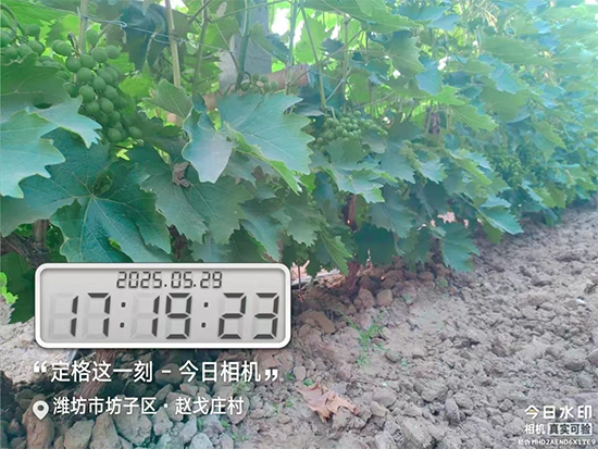山东诺贝欣农业发展有限公�?.jpg