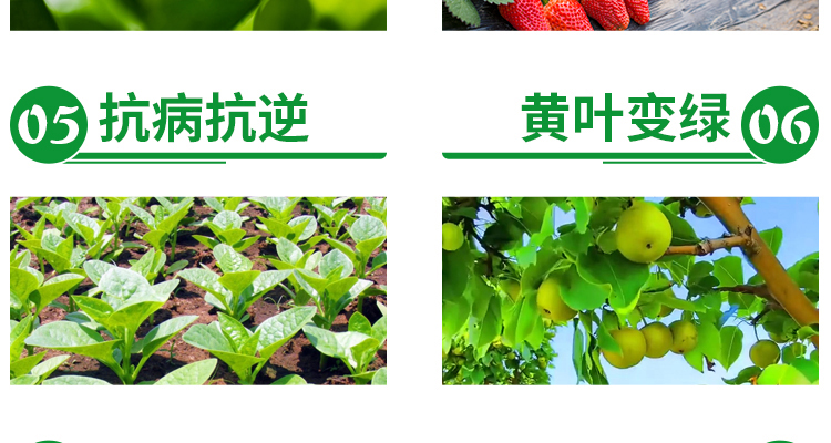 新疆华能中矿腐植酸有限公�?电子画册_02_08.jpg