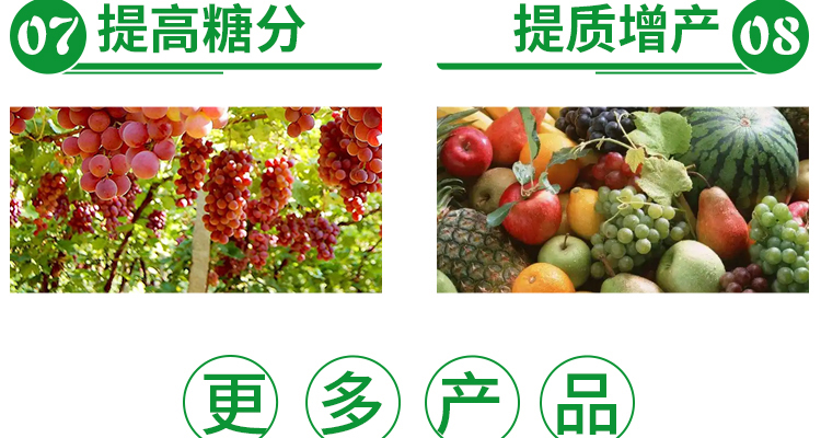 新疆华能中矿腐植酸有限公�?电子画册_02_09.jpg