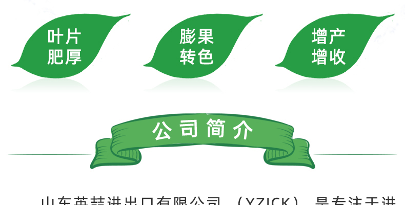英喆--电子画册_02_01.jpg