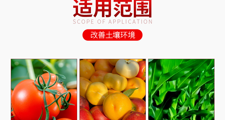 邦尔泰生物科技（北京）有限公司-电子画册_02_06.jpg
