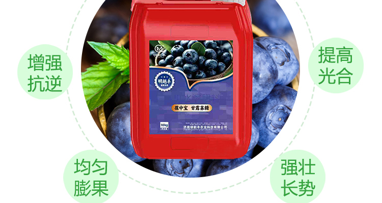 济南明前丰农业科技有限公司-电子画册_02_04.jpg