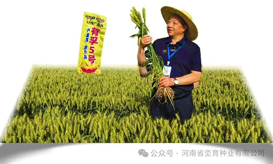 3.jpg 3.jpg