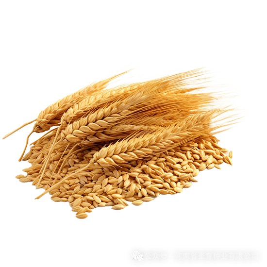 4.png 4.png