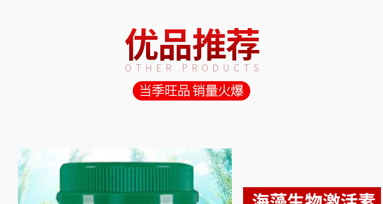 海科奇进出口有限公司-电子画册_02_09.jpg