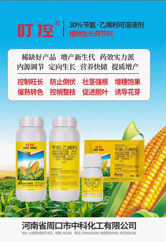 河南周口市中科化工有限公�?.jpg