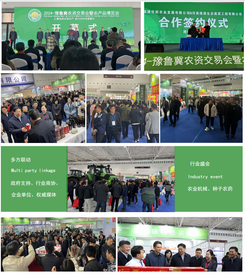 鏈爣棰?1.jpg 鏈爣棰?1.jpg