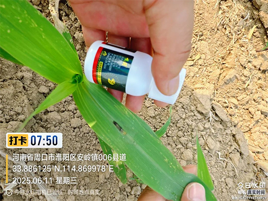 娌冲崡鑹惧埄鍐滃啘涓氱鎶�鏈夐檺鍏徃4.jpg 娌冲崡鑹惧埄鍐滃啘涓氱鎶�鏈夐檺鍏徃4.jpg