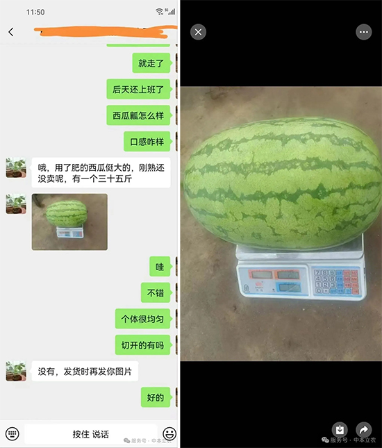 1.jpg 1.jpg