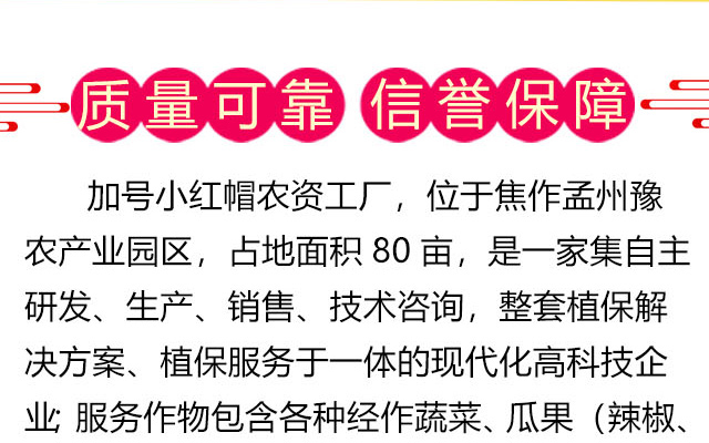加号小红帽作物科技（河南）有限公司-电子画册_02_01.jpg