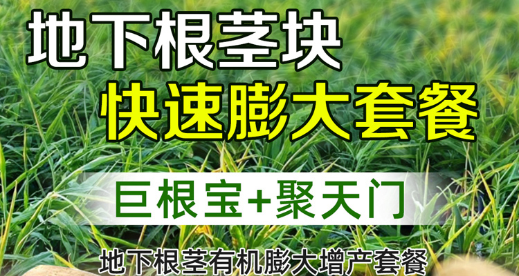 郑州隆之丰生物科技有限公司-电子画册_02_09.jpg