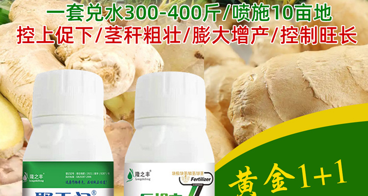 郑州隆之丰生物科技有限公司-电子画册_02_10.jpg