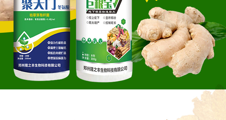 郑州隆之丰生物科技有限公司-电子画册_02_11.jpg