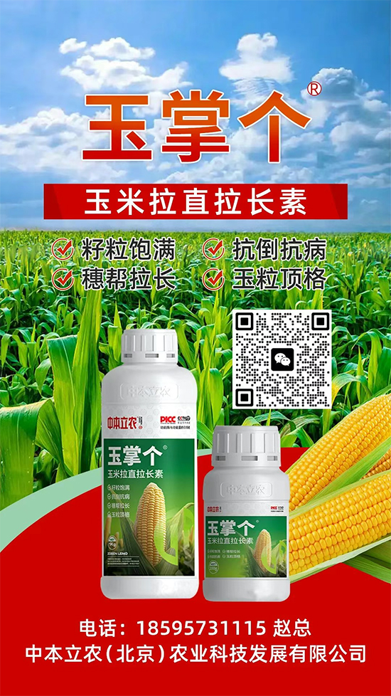 寿光市丰田农业科技发展有限公司3.jpg